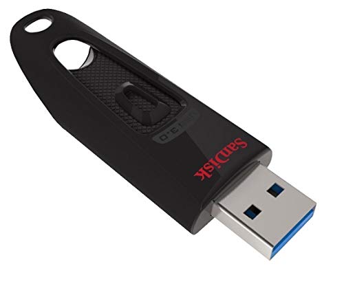SanDisk Pack of 10 Ultra USB 3.0 32GB Type-A Flash Drives for Laptops, PCs | Works with Personal Computers and Most USB-A Devices (SDCZ48-032G-U46) Bundle with (10) Everything But Stromboli Lanyards