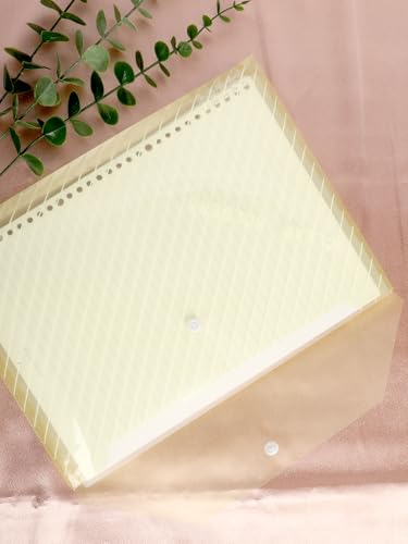 10 Pcs Clear Plastic File Folders 12.5 × 9 Inch Colorful Folders for Documents, Files, Paper at School Office Home