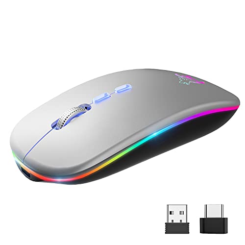 HOTLIFE LED Wireless Mouse, Slim Rechargeable Silent Bluetooth Mouse, Portable USB Optical 2.4G Wireless Bluetooth Two Mode Computer Mice with USB Receiver and Type C Adapter(Silver) - color: silver