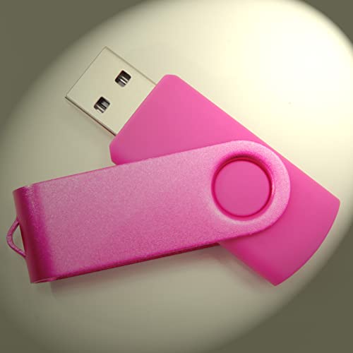 256MB USB Flash Drives Thumb Drive U Disk PenDrive Memory Sticks for Pupil Student Presents Gifts (Pink) - color: Pink