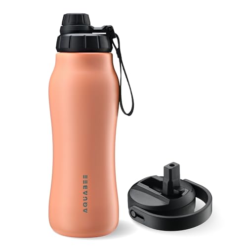 Insula Stainless Steel Water Bottle with Spout & Straw lid, BPA Free & Leakproof, Double Walled Vacuum Insulated water bottle for Sports, Bike, Travel & Hiking (Coral Sunset, 24 Oz) - color: Coral Sunset