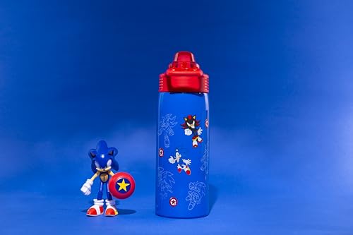 Zak Designs Sonic the Hedgehog Sage Kids Water Bottle For School or Travel, 19oz Stainless Steel Water Bottle With Straw, Handle, and Leak-Proof, Pop-Up Spout Cover (Sonic & Shadow) - color: Sonic the Hedgehog (Sage)