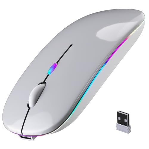 Wireless Bluetooth Mouse, Rechargeable, LED, Silent, Ultra-thin Design (Bluetooth 5.2 and 2.4GHz USB Receiver) | Portable Computer Mouse for Laptops, iPads, MacBooks and Apple Devices (Silver) - color: Silver