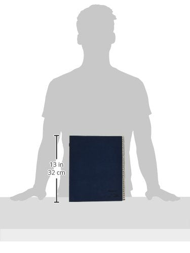 Pendaflex Expanding Desk File, Laminated Daily Tabs, Letter Size, Navy, Each (DDF4-OX) - style: Daily