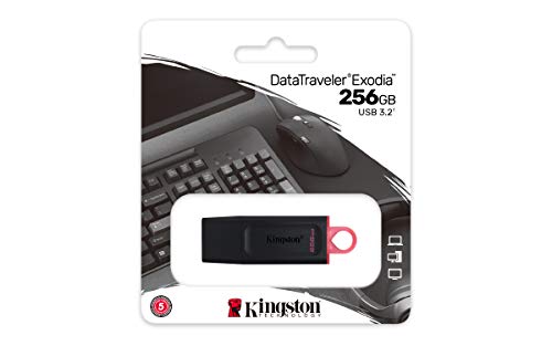 Kingston DataTraveler Exodia 256GB USB 3.2 Flash Drive DTX/256GB, Black - size: 256GB