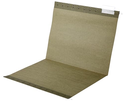 Amazon Basics Hanging File Folders with Adjustable Tabs, Sturdy Expandable Document Organizer, Letter Size 8.5x11 inch, Green, 25-Pack - color: Green, size: 25 Pack
