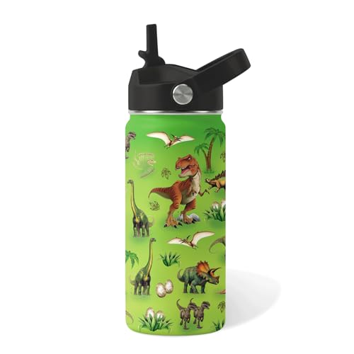 Dinosaur Gifts for Boys - 16 oz Water Bottle with Straw Lid, Stainless Steel Insulated Bottle, Leak Proof, BPA-Free, Dino Sport Water Bottles for School, Travel, Dino Children Birthday Gifts Cup(1pc) - color: Dinosaur2, size: 16 Ounces