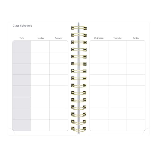 Blueline® Essential Academic Daily/Monthly Planner, August 2026 to July 2027, Gold Twin-Wire Binding, Poly Cover, 8" x 5", Nautical Design, Cabana (CA214PH.02) - color: Cabana