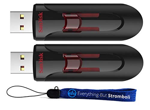 SanDisk 2 Pack 16GB Glide 3.0 Retractable USB-A Flash Drive for Computers | Pen Drive Used with PCs and Laptops for Extended Storage (SDCZ600-016G-B35) Bundle with (1) Everything But Stromboli Lanyard