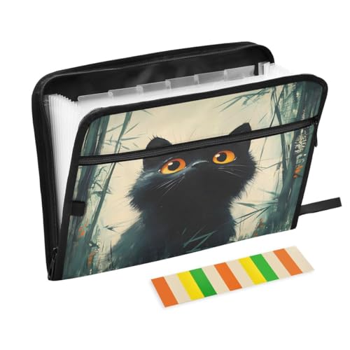 ALAZA Painting Black Cat Kitten Expandable Filing Folder Storage Organiser Box Files, 13 Pockets Zip Filing Folders for Home or Office Documents - color: Multicolored47