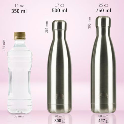 Mont-Clair Stainless Steel Water Bottle, Vacuum insulated - BPA Free, 12h Hot & 24h Cold Drinks, Metal Water Bottle 17 oz Leakproof, Ideal for Adult, Kids, Running - Gradient - Cyan & Pink - color: Gradient - Cyan & Pink, style: 17 Ounces