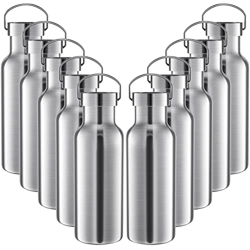 10 Pack Reusable Stainless Steel Water Bottle Bulk Double Wall Insulated Sports Water Bottle with Handle and Vacuum Seal Leakproof Lid for Sports Cyclists Hiking Gym Camping Gift(Silver,17 oz) - color: Silver