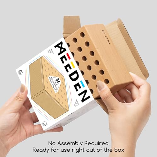 MEEDEN Beechwood Pencil and Brush Holder: 36 Holes Paint Brush Storage Organizer & Holder Rack - Wooden Block Pencil Holder for Paintbrushes, Pens and Art Tools - Paint Brush Holder Display Stand - size: 1-PACK