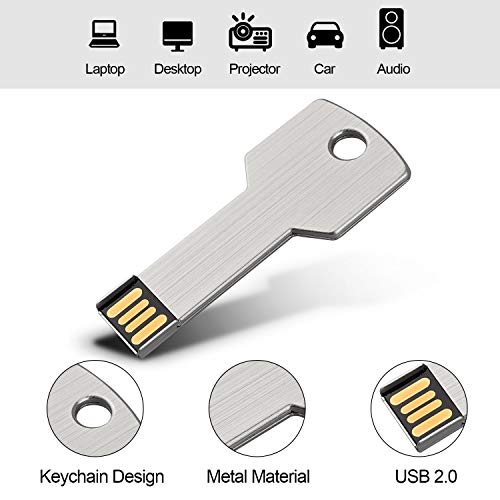 RAOYI 10 Pack 4GB USB Flash Drive USB 2.0 Metal Key Shape Memory Stick Thumb Drive Pen Drive-Silver - color: Silver, size: 4GB