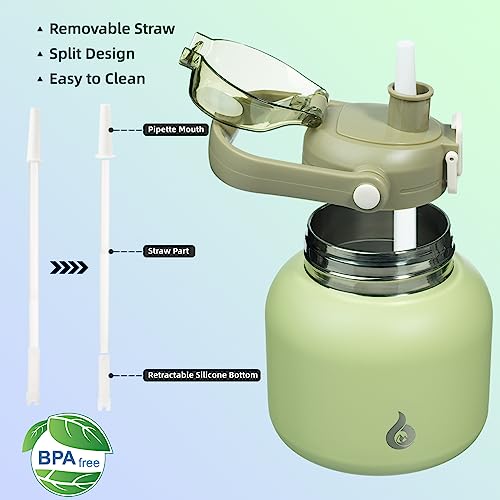 BJPKPK Insulated Water Bottles with Straw, 20 oz Cute Water Bottles with Handle, BPA Free Stainless Steel Metal Jug, Easy Carry Flasks for Men & Women, Light Green - color: 20 ozLight Green, size: 20 Ounces