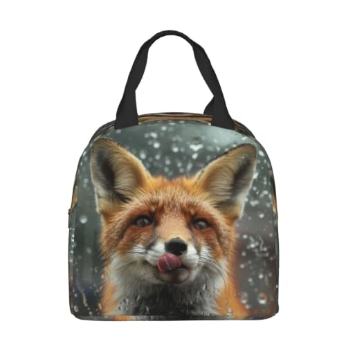 Funny 3d Fox Lunch Box Insulated Meal Bag Lunch Bag Reusable Snack Bag Food Container For Boys Girls Men Women School Work Travel Picnic - color: Funny Fox