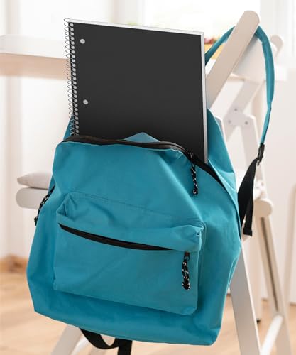 Dunwell Graph Paper Notebook 8.5 x 11, Plastic Cover, 80 Sheets, 4x4 Ruled, 1 Subject Spiral 1/4 Inch Grid Graphing Notebook, Divider with Pockets, Perforated Pages, 3-Hole Punched - size: 8.5x11", style: Graph Ruled