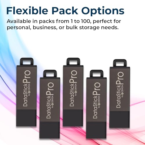 Centon DataStick Pro USB 2.0 Flash Drive 4GB x 5, Grey - style: 4 GB (Pack of 5)