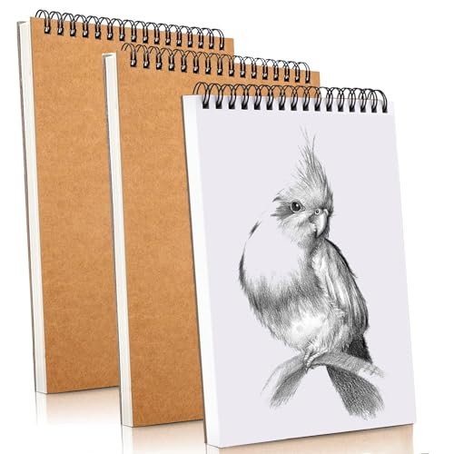 Sketch Book Pad, Drawing Paper 9" x 12" Spiral Bound (98lb/160gsm), 90 Sheets, Pack of 3, Durable Acid Free Sketchbook for Painting (3 Pack- 9"X12") - color: 3 Pack- 9"X12"