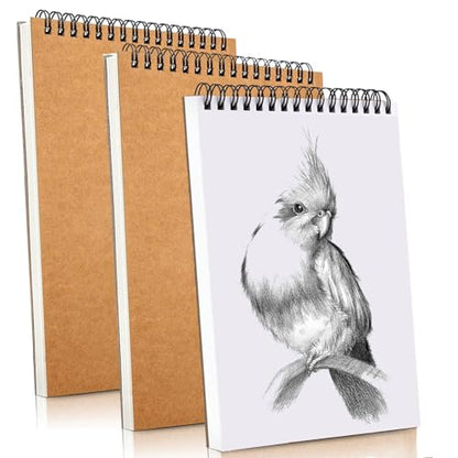 Sketch Book Pad, Drawing Paper 9" x 12" Spiral Bound (98lb/160gsm), 90 Sheets, Pack of 3, Durable Acid Free Sketchbook for Painting (3 Pack- 9"X12") - color: 3 Pack- 9"X12"