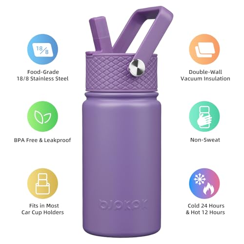 BJPKPK Insulated Water Bottle, 15oz Stainless Steel with Straw Lid | Leak Proof, BPA-Free, Vacuum Insulated, Keep Drink Cold & Hot, Metal Water Bottle for Travel, Gym, Office, Cupholder Friendly - color: Iris, style: N-15oz-Color Lid