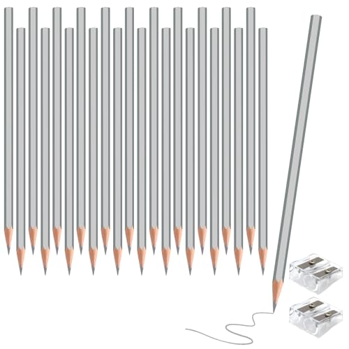 24 Pack Silver Colored Pencils for Kids, Pre-sharpened Art Pencils Back to School Supplies Set, Drawing Sketching Pencils for Students, Teachers, Classroom - color: silver