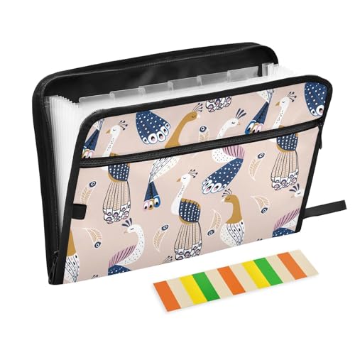 Hand Drawn Peacock Birds File Folders,Plastic Folders with 13 Pockets,Expandable File Folder for Documents School Students Office,Aesthetic Folder with Labels A4 Letter Size - color: Multicolor 7