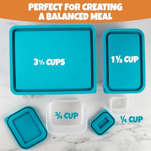 Reusable Lunch Containers - Set of 4 Microwave Safe, Meal Prep Stackable Nesting Containers, Pack Food, Snacks & Sauces in Leak Proof Compartments w/Lids, Easy to Clean, Fits in Bags & Bento Boxes