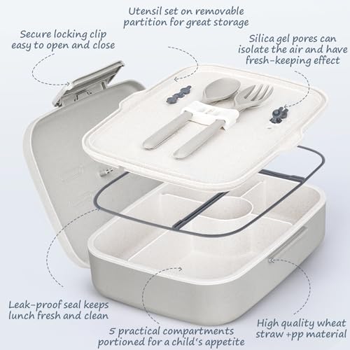 Bento Box Adult Lunch Box, Kid Lunch Box Contaiers for 5 Compartmets, Lunch Containers with 3 Silicone Baking Cups, Leakproof, Dishwasher and Microwave Safe, BPA-Free (Grey) - color: Gray