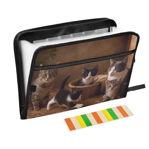 Cat Family Expanding Accordion File Folder with 13 Pockets and Zipper Closure - color: Cat Family