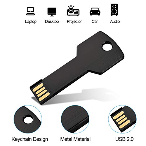 RAOYI 10 Pack 2GB USB Flash Drive USB 2.0 Metal Key Shape Memory Stick Thumb Drive Pen Drive-Black - color: Black, size: 2GB