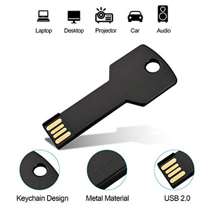 RAOYI 10 Pack 2GB USB Flash Drive USB 2.0 Metal Key Shape Memory Stick Thumb Drive Pen Drive-Black - color: Black, size: 2GB