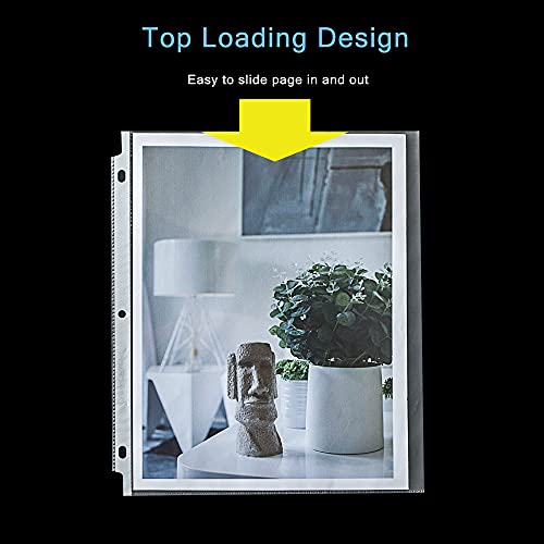 Seashell 100 Economy Non-Glare Sheet Protectors, Plastic Page Protectors for 3 Ring Binder, Letter Size, Top Loading, 3 Hole Punched, Binder Sleeves for 8.5 x 11 Paper, for School and Office use… - size: Economy Bag of 100