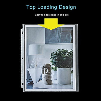 Seashell 100 Economy Non-Glare Sheet Protectors, Plastic Page Protectors for 3 Ring Binder, Letter Size, Top Loading, 3 Hole Punched, Binder Sleeves for 8.5 x 11 Paper, for School and Office use… - size: Economy Bag of 100