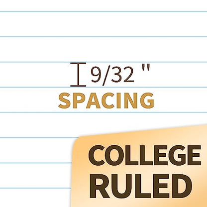SUNEE Spiral Notebooks College Ruled, 1-Subject, 4 Pack, 8 x 10-1/2 in, 70 Sheets, 3-Hole Punched 70gsm Paper, Pastel Pink, Purple, Blue, Green for School, Home & Office, Writing Journal - color: Multicolor