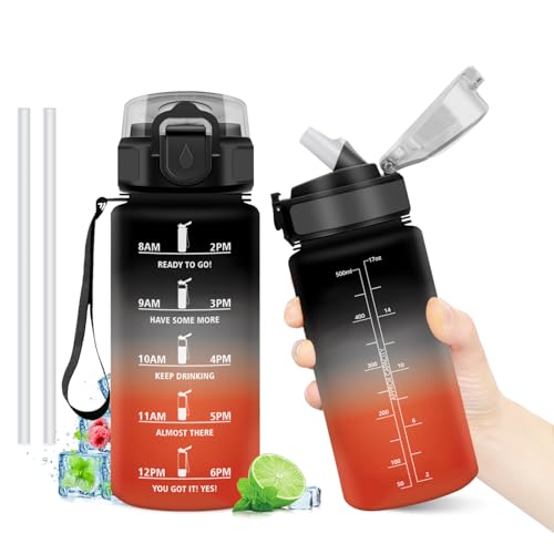 500ml Water Bottle with Straw, BPA Free Reusable Motivational Bottle with Time Marker, Leak Proof, Ideal for School, Office, Camping