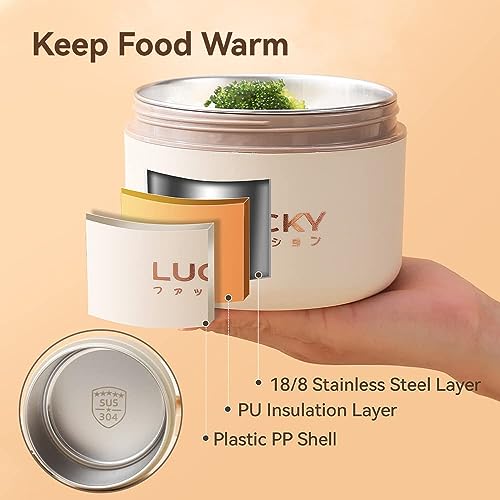 Portable Insulated Lunch Containers, Stainless Steel Bento Box Adult Lunch Box with Insulated Lunch Bag, 4 Separate Stackable Lunch Container for Adult, White… - color: 4 Tier (2L+2S)-Beige