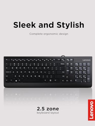 Lenovo 300 USB Keyboard, Wired, Adjustable Tilt, Ergonomic, Windows 7/8/10, GX30M39655, Black - style: Keyboard