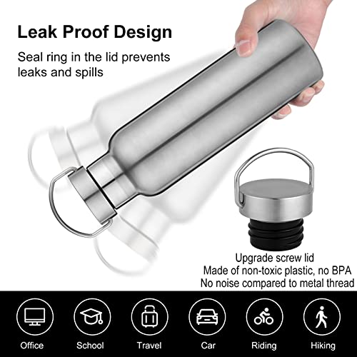 Neihepal Silver Stainless Steel Water Bottles,20 Ounce Vacuum Insulated Double Wall Travel Bottle with Leak Proof Lid of Handle,Metal Reusable Standard Mouth Flask Thermoses for School,Hikers,Gift - color: Silver