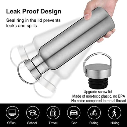 Neihepal Silver Stainless Steel Water Bottles,20 Ounce Vacuum Insulated Double Wall Travel Bottle with Leak Proof Lid of Handle,Metal Reusable Standard Mouth Flask Thermoses for School,Hikers,Gift - color: Silver