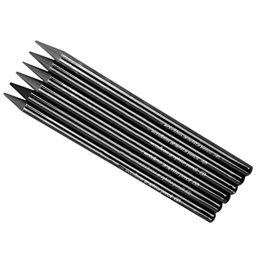 PENINSULA LOVE 6Pcs Woodless Graphite Pencils HB 2B 4B 6B 8B EE Artist Professional Drawing Pencil Set for Sketching Shading Writing for Adult Artist Hobbyist Beginner
