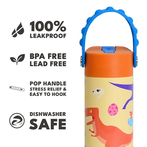 Elemental Insulated Kids Water Bottle, Stainless Steel Water Bottle with Straw Lid & Pop-It Handle, Leak-Proof Water Bottles for School, Boys or Girls, Travelling and Sports, 18oz - Dino Rage - color: Dino Rage