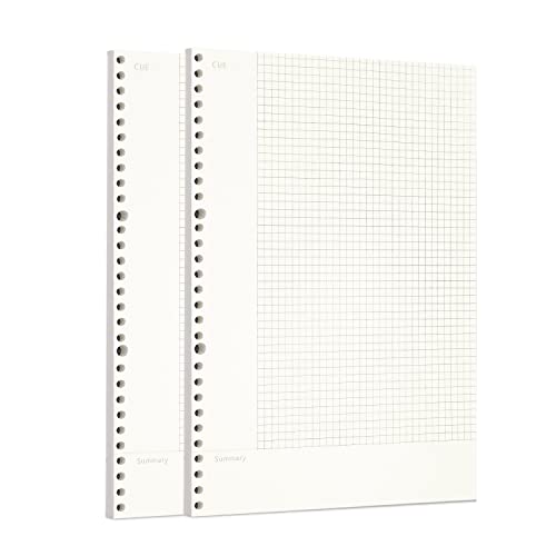 Zelten 2 Pack A4 120 Sheets/240 Pages Connell Loose Leaf Punched Paper Refills Paper for 30 Hole Binder Personal Organizer Diary Notebook Refillable Planner - color: Connell, size: A4/30 Hole