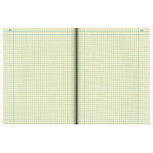 National Brand Computation Notebook, 4 X 4 Quad, Brown, Green Paper, 11.75 x 9.25 Inches, 75 Sheets (43648)