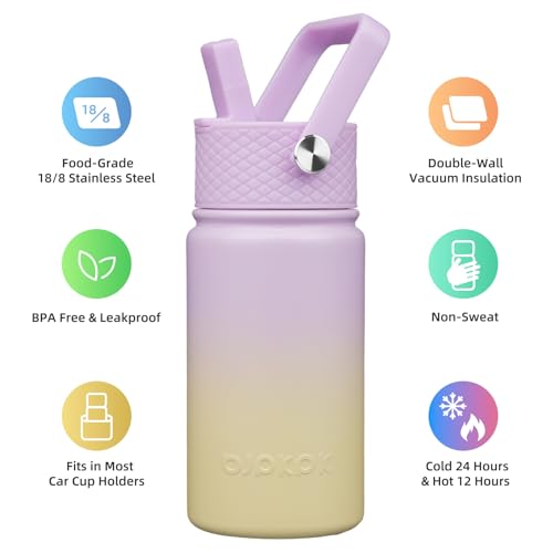 BJPKPK Insulated Water Bottle, 15oz Stainless Steel with Straw Lid | Leak Proof, BPA-Free, Vacuum Insulated, Keep Drink Cold & Hot, Metal Water Bottle for Travel, Gym, Office, Cupholder Friendly - color: Wisteria, style: N-15oz-Color Lid