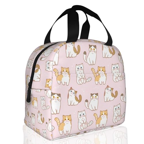 Cute Cartoon Cat Pink Lunch Box,Insulated Lunch Bag for Girls Boys,Reusable Lunch Box for Kids Adults School Student Work Picnic Travel - color: Cute Cartoon Cat Pink