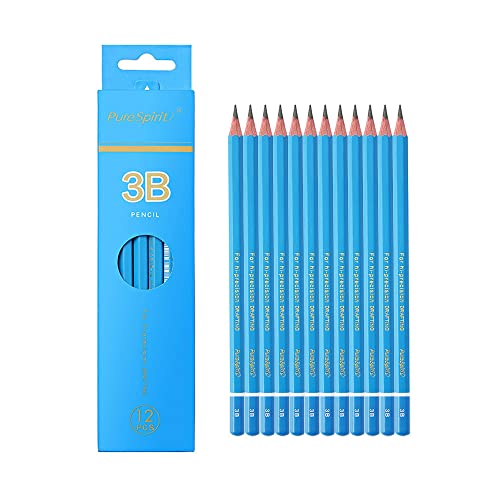 Sketch Pencils for Drawing 3B, 12pcs Professional Art Drawing Pencils for Shading, Sketching & Doodling | Graphite Pencil for Artists & Beginners - style: 3B 12pcs