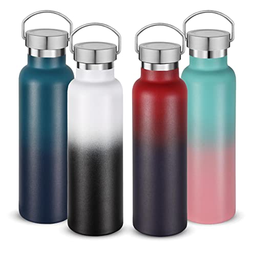 Neihepal 20 oz Insulated Water Bottles Bulk 4 Pack,Stainless Steel Double Wall Sport Bottle with Lid of Handle,Metal Reusable Thermoses Flask for School,Cyclists,Hikers,Gift (Assorted,Set of 4) - color: Assorted