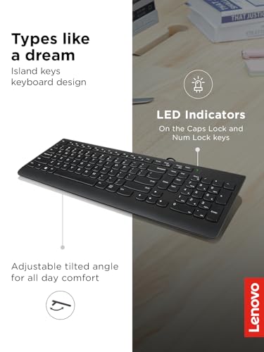 Lenovo 300 USB Keyboard, Wired, Adjustable Tilt, Ergonomic, Windows 7/8/10, GX30M39655, Black - style: Keyboard