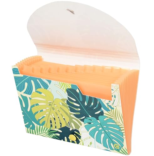 CNK File Folders Organizer with 13 Pockets Accordion Expanding Folder Documents Receipt Document Paper Pocket Filing Accordian Important Expandable Holder Files Alphabetical Labels Letter - color: Monstera